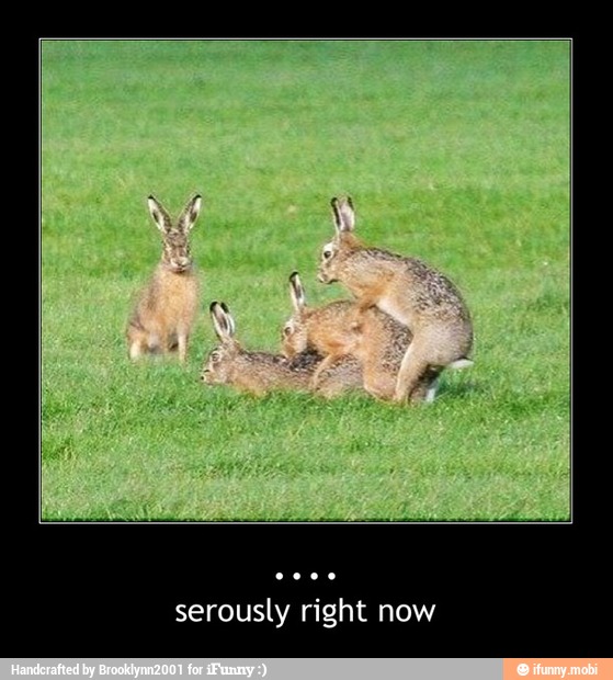 serously right now - ....
serously right now