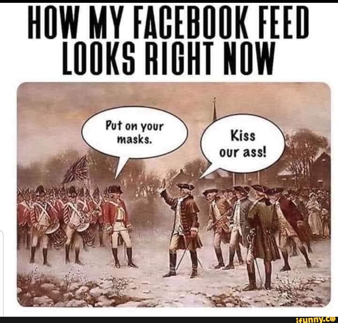 HOW MY FACED
Mi FEED
