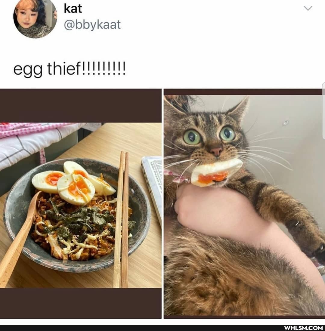 @bbykaat
egg thief!