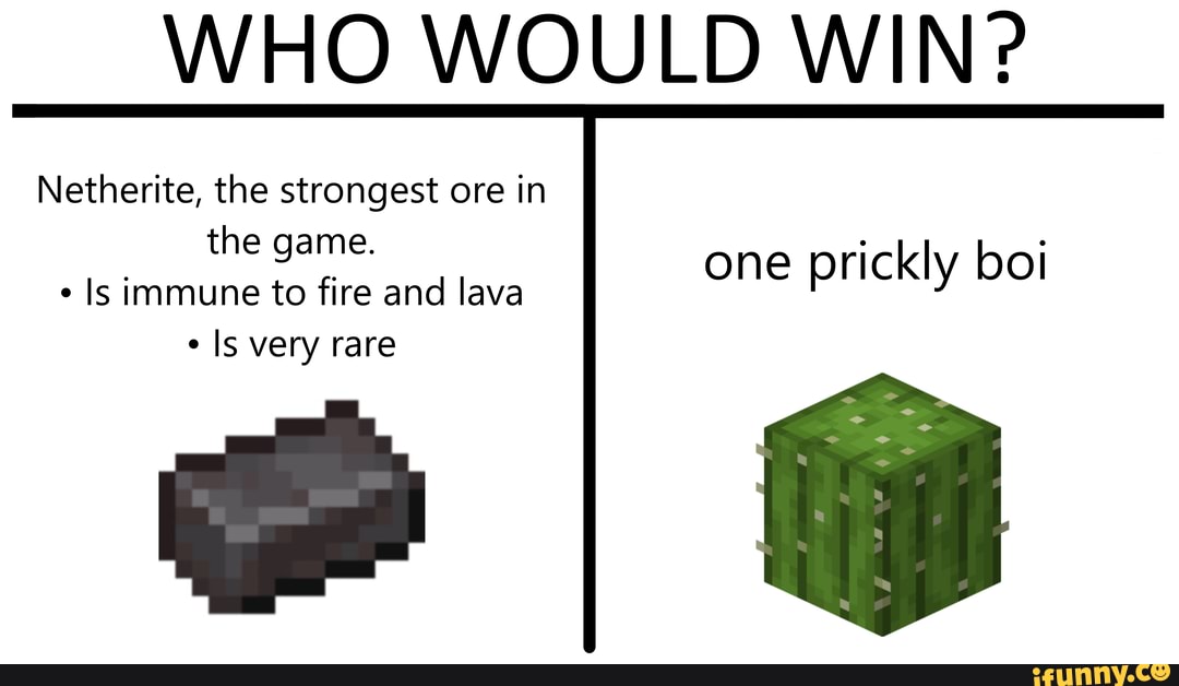 WHO WOULD WIN? Netherite, the strongest ore in the game. Is immune to