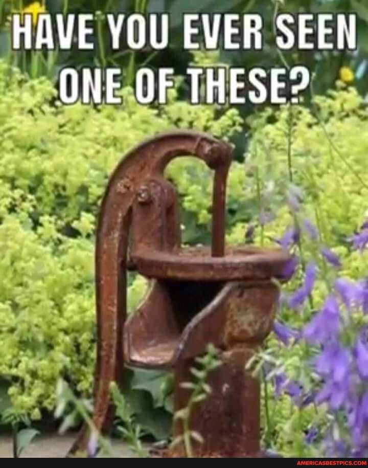 HAVE YOU EVER SEEM ONE OF THESE?