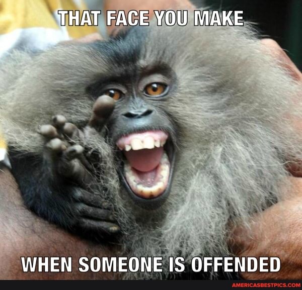 THAT FACE YOU MAKE
WHEN SOMEONE IS OFFENDED