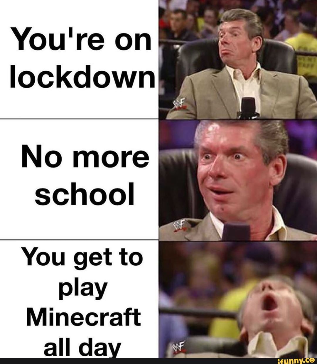 You get to
play
Minecraft