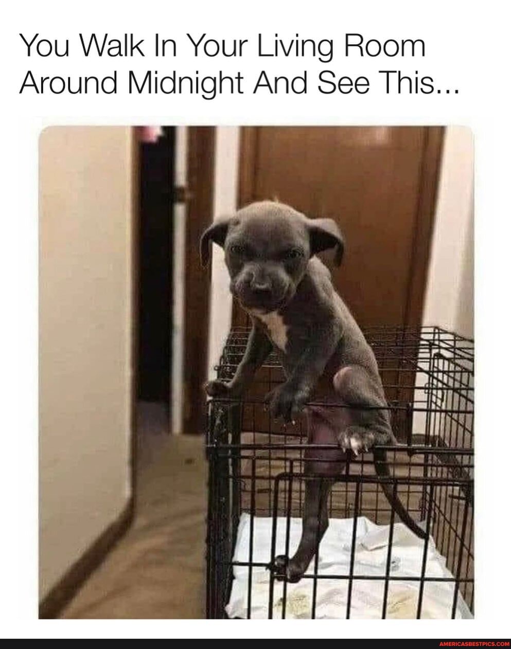 You Walk In Your Living Room
Around Midnight And See This...