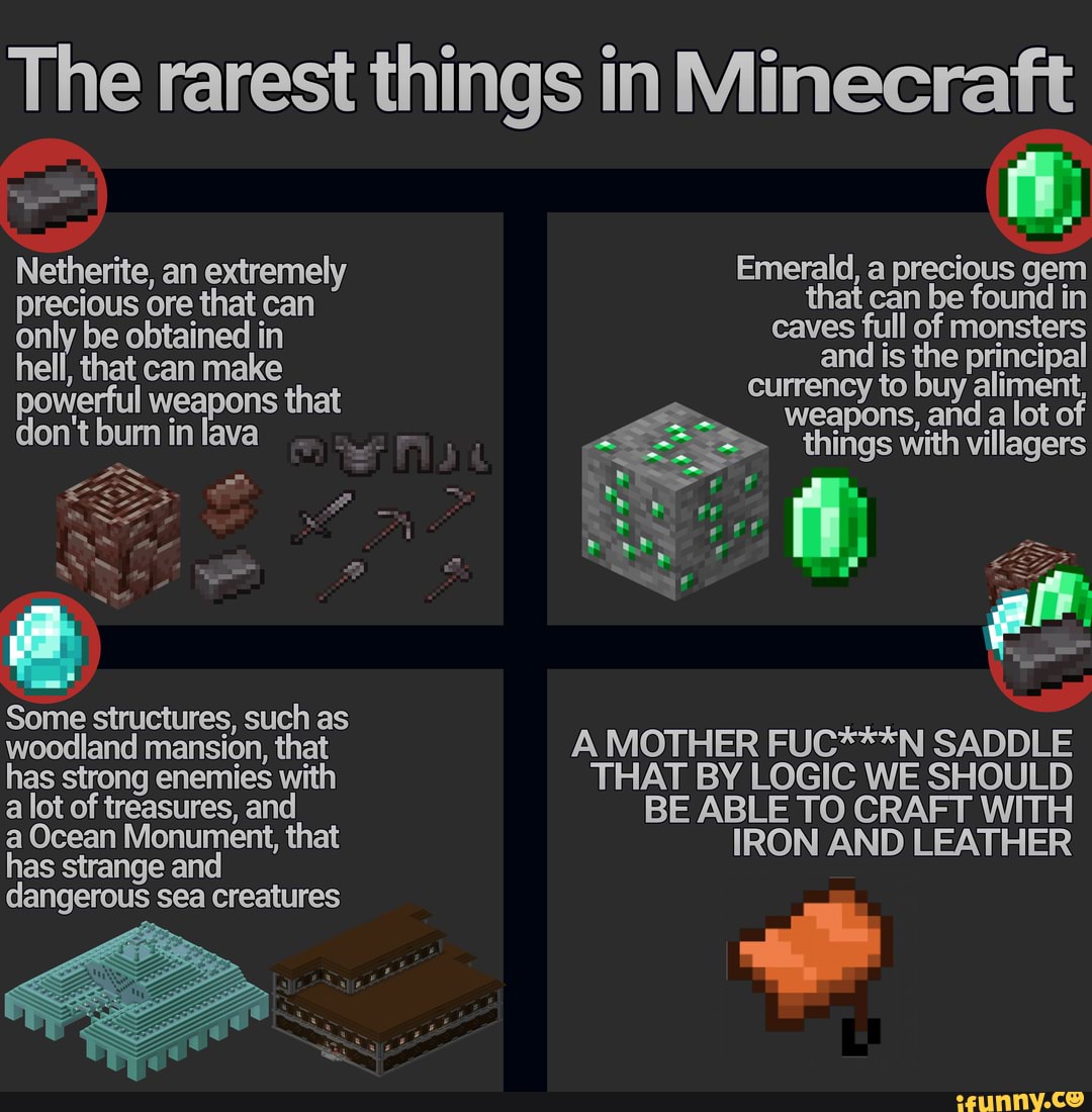 The Rarest Things In Minecraft Netherite An Extremely Precious Ore That Can Only Be Obtained In Hell That Can Make Powerful Weapons That Don T Bum In Lava Some Structures Such As Woodland