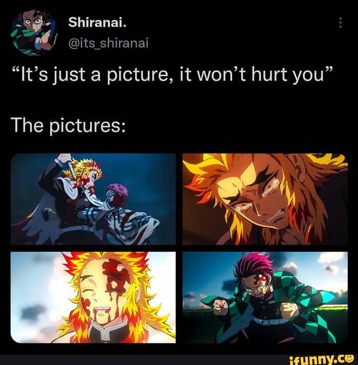 Shiranai memes. Best Collection of funny Shiranai pictures on iFunny Brazil,  shinka no mi dublado ep 1