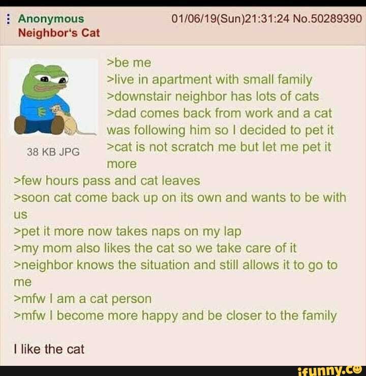 Anonymous No.50289390
Neighbor's Cat
>be me
>live in apartment with small family
>downstair neighbor has lots of cats
>dad comes back from work and a cat
_was following him so I decided to pet it
38 KB JPG >cat is not scratch me but let me pet it
more
>few hours pass and cat leaves
>soon cat come back up on its own and wants to be with
us
>pet it more now takes naps on my lap
>my mom also likes the cat so we take care of it
>neighbor knows the situation and still allows it to go to
me
>mfw I am a cat person
>mfw I become more happy and be closer to the family
I like the cat