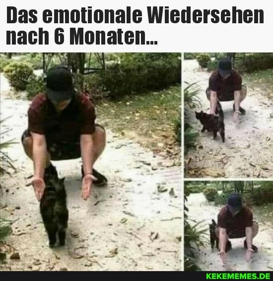 nach 6 Monaten...
zar