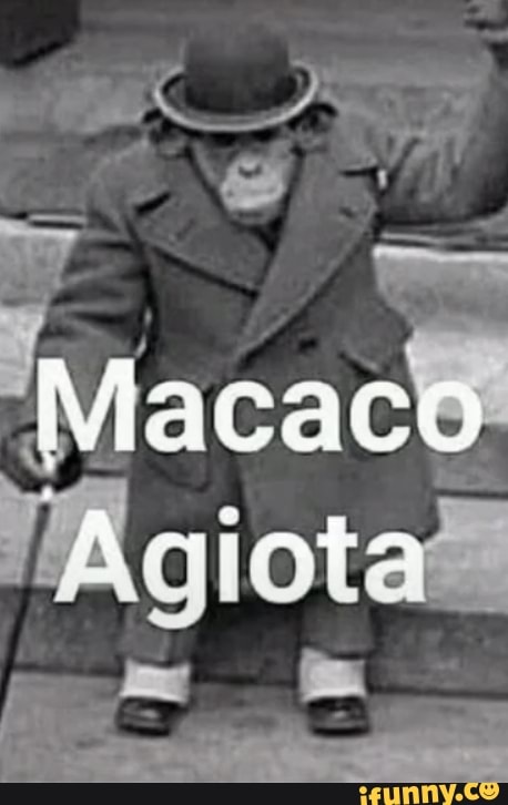 acaco
"Agiota mo mo