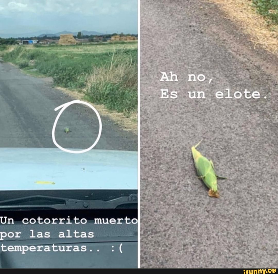 Elote memes. Best Collection of funny Elote pictures on iFunny