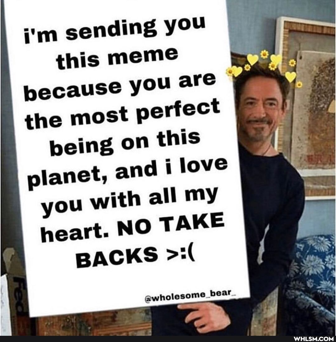 i'm sending you this meme
because you are
the most perfect
being on this
planet, and i love you with all my heart. NO TAKE BACKS
bear