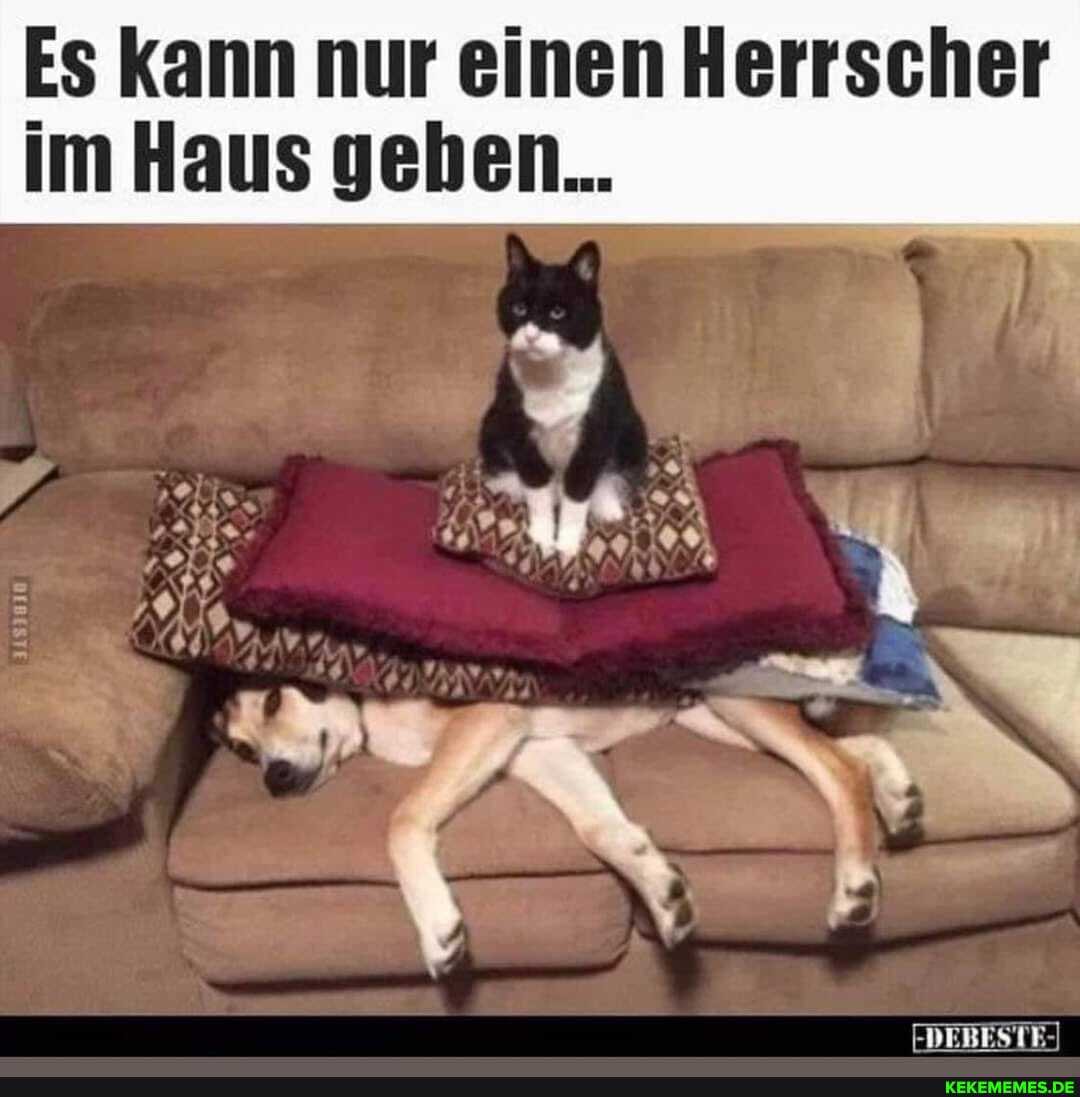 Es kann nur einen Herrscher im Haus geben...
