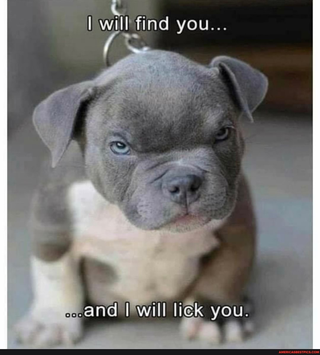 you...
NE! will lick you.