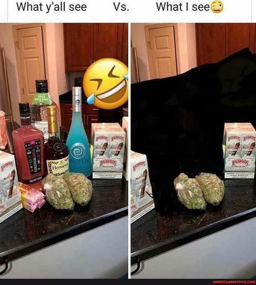What y'all see Vs What I see