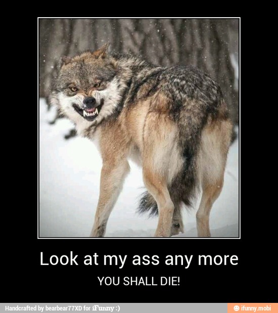Look at my ass any more
YOU SHALL DIE! - Look at my ass any more
YOU SHALL DIE!