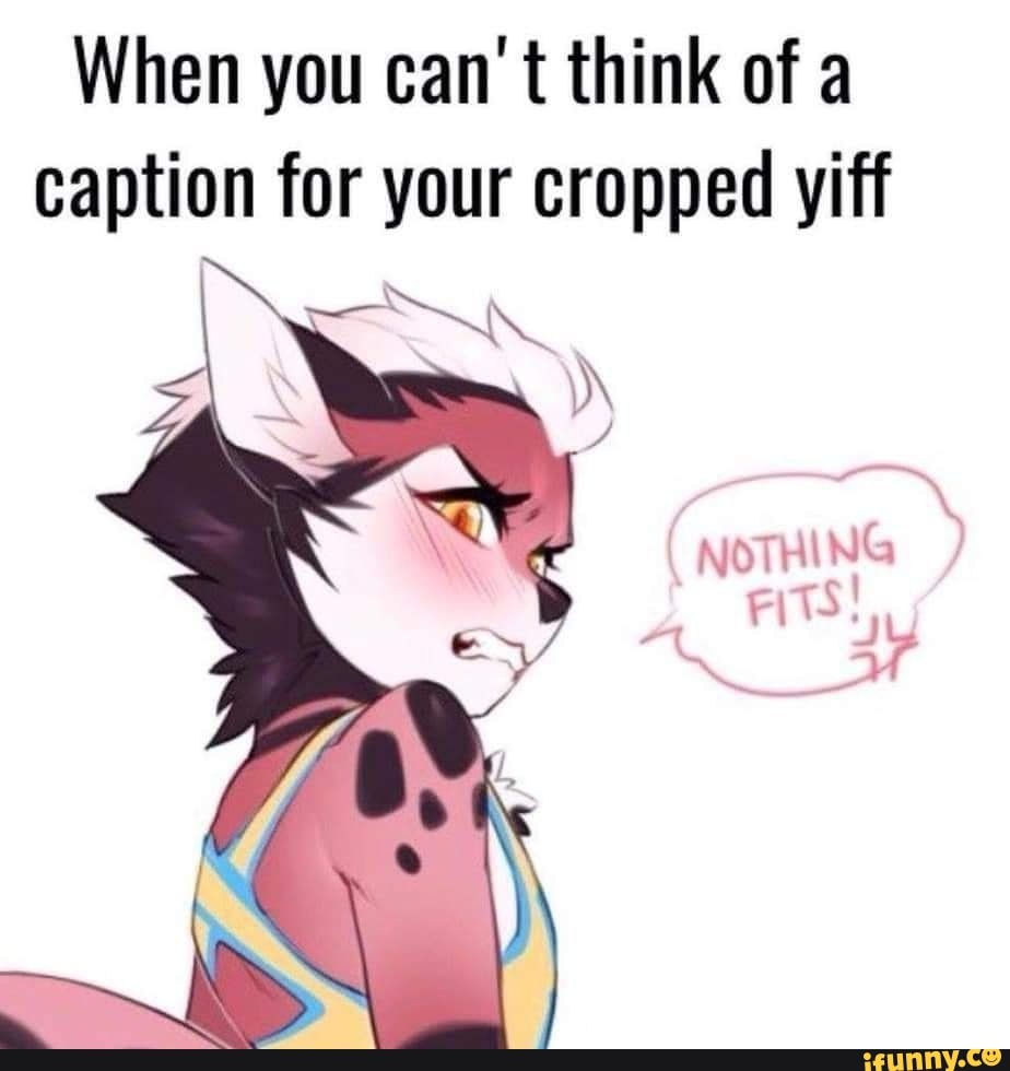 When you can't think of a caption for your cropped yiff.