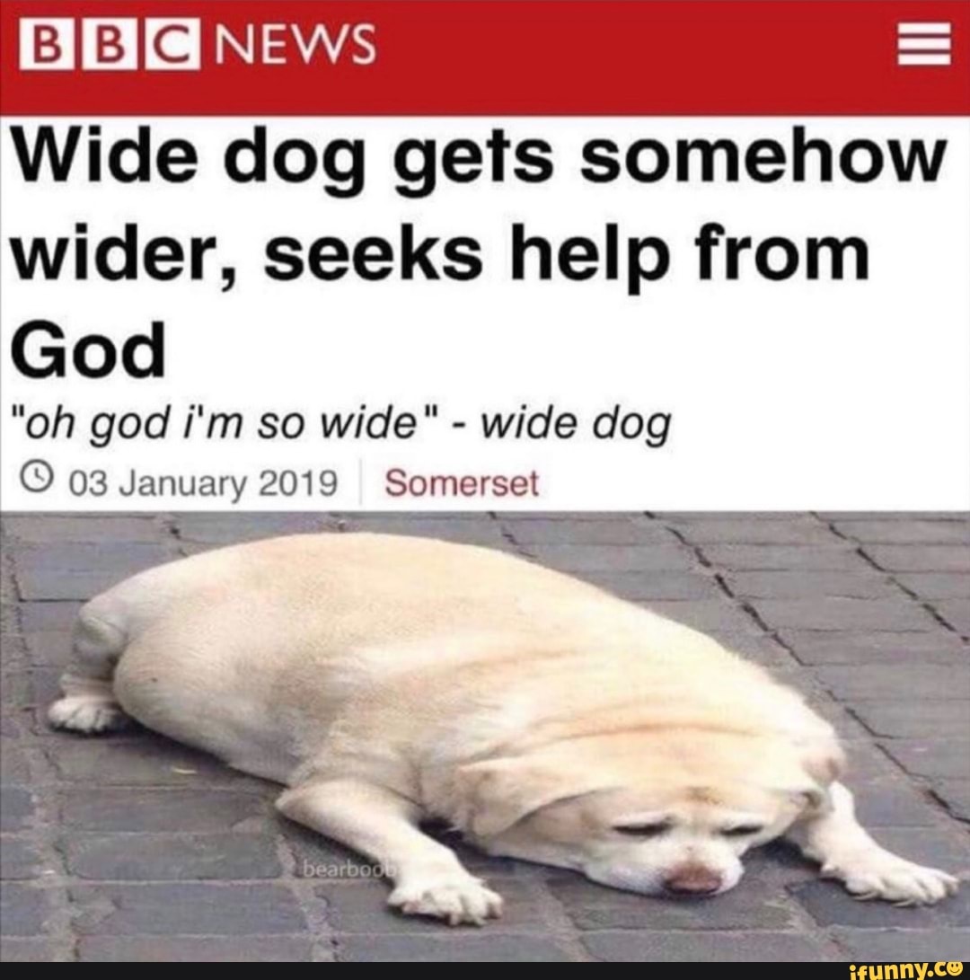 Wide dog gets somehow
wider, seeks help from
God
wide dog
© 03 January 2019 Somerset