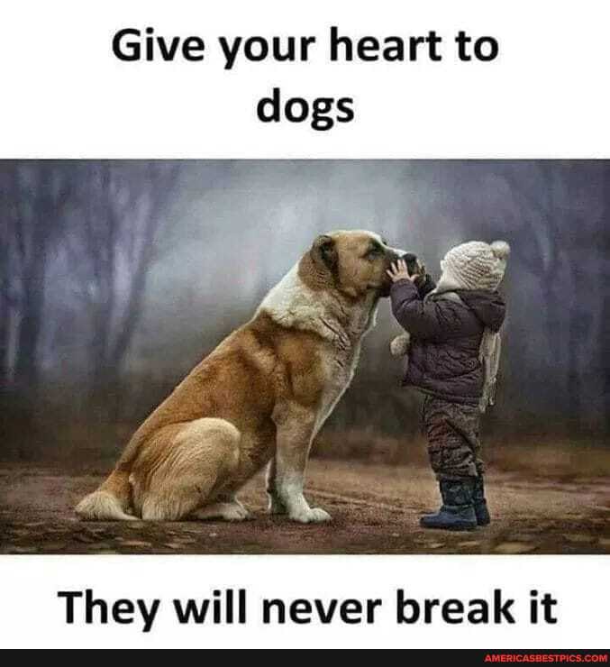Give your heart to dogs
They will never break it