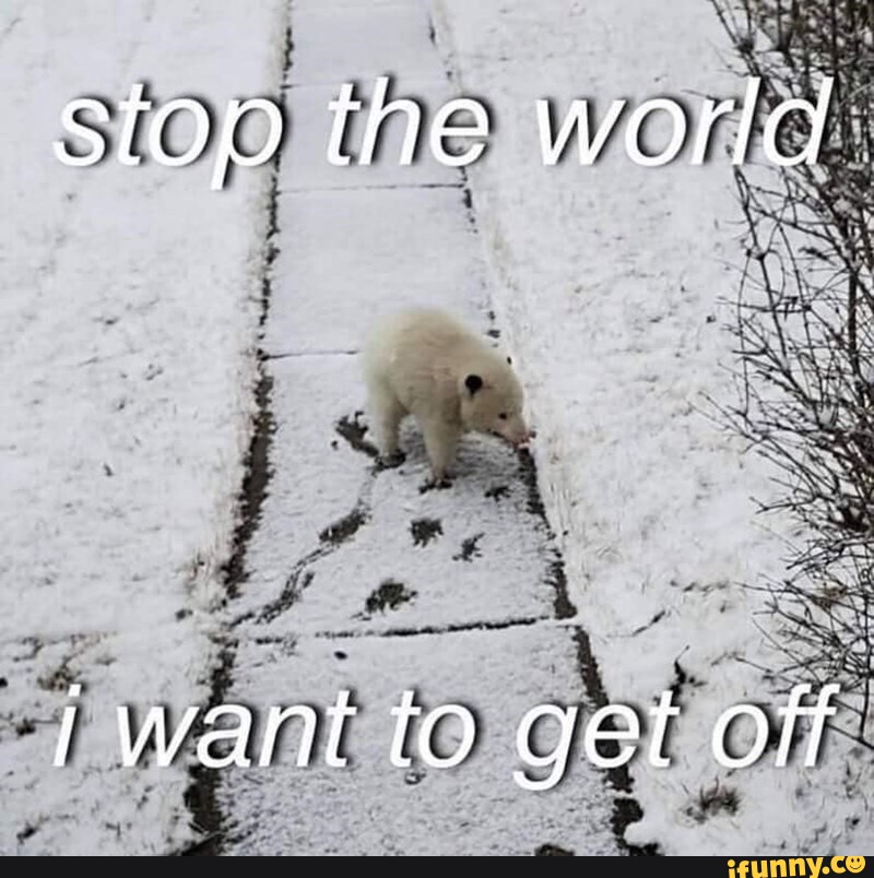 Stop the world want to get off iFunny