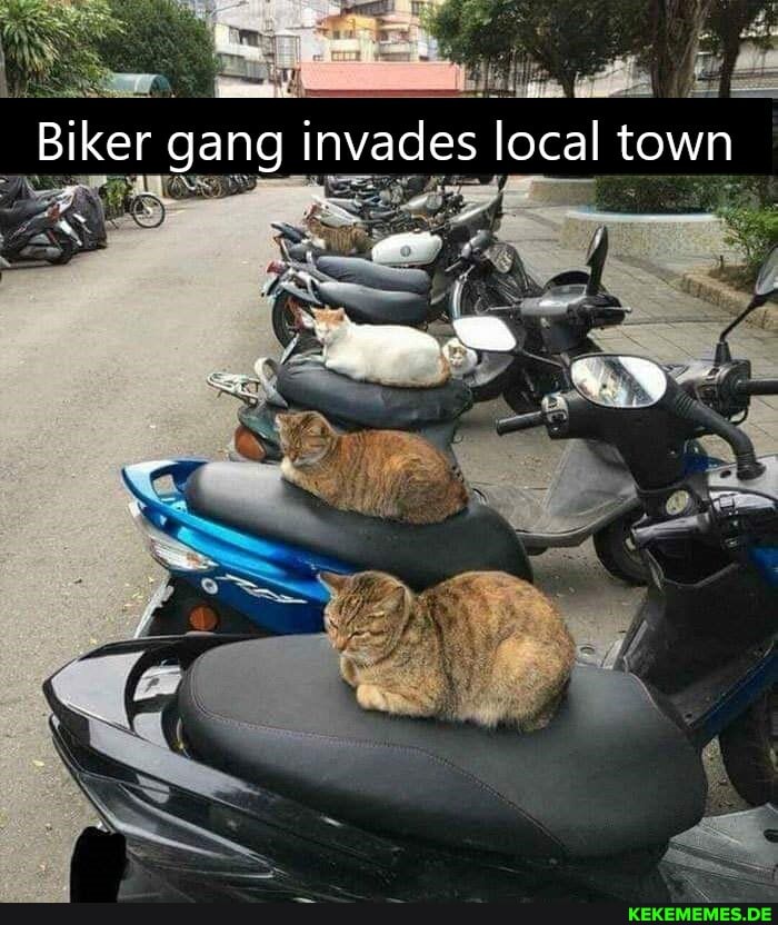 Biker gang invades local town