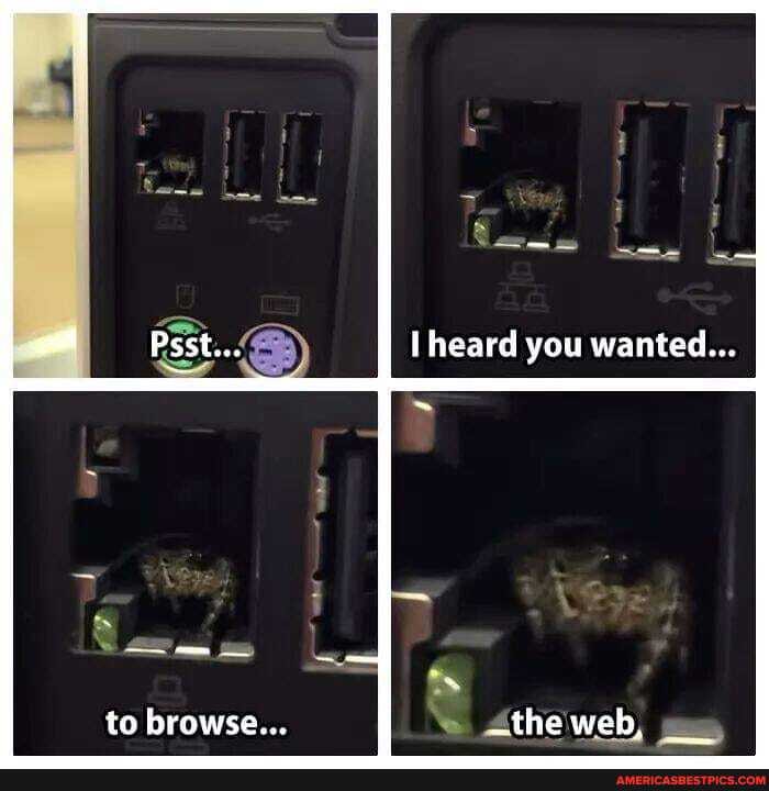 heard you wanted...
to browse... the web,