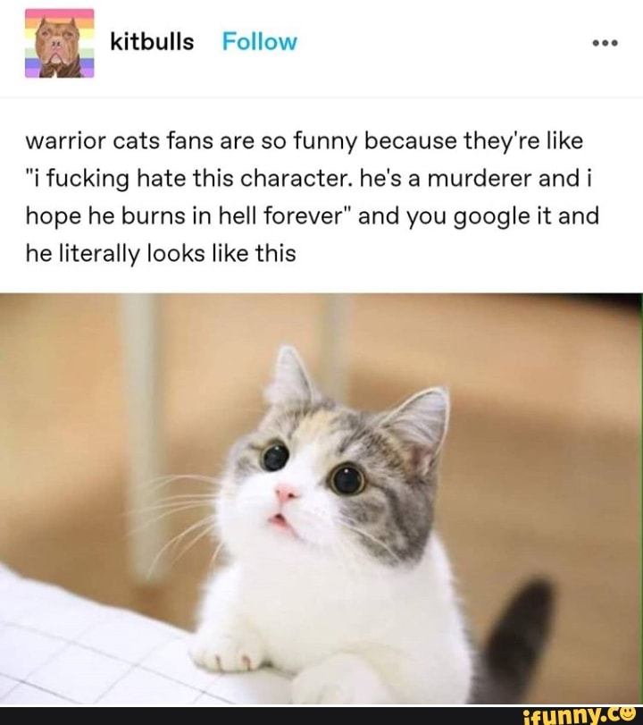 warrior cats fans are so funny because they're like
"I fucking hate this character. he's a murderer and i
hope he burns in hell forever" and you google it and
he literally looks like this