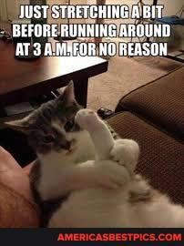 JUST STRETUHING BIT BEFORE RUNHING AROUND
REASON