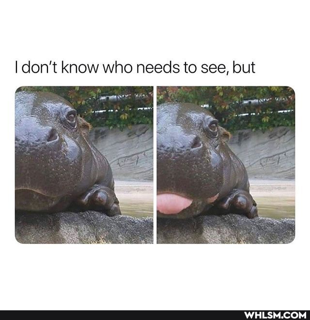 I don't know who needs to see, but
