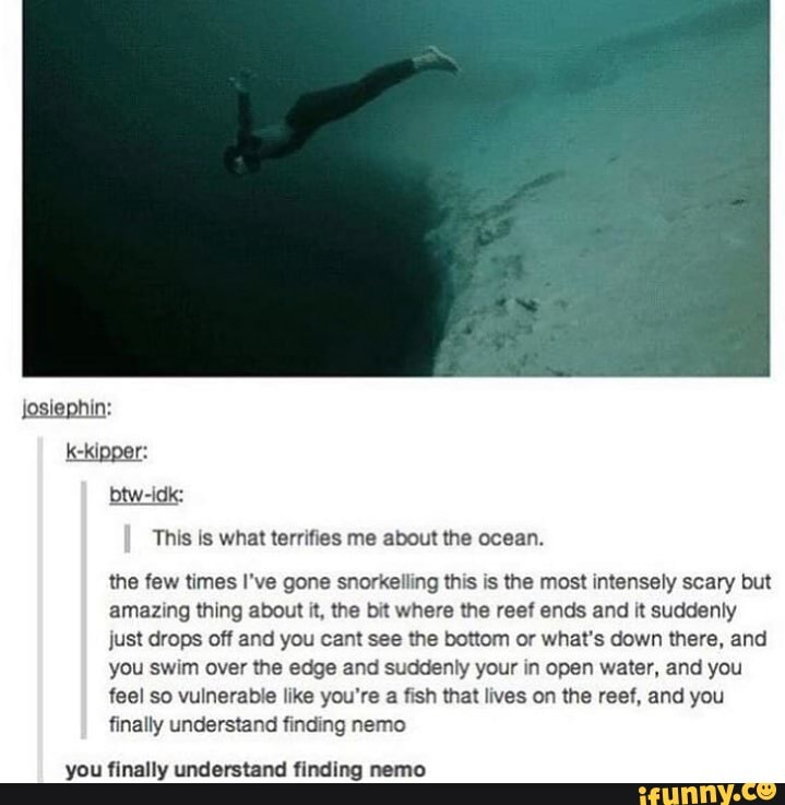Btw-idk: This is what terrifies me about the ocean. the few times I've ...