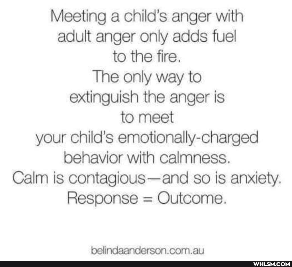 Meeting a child's anger with adult anger only adds fuel to the fire.
The only way to extinguish the anger is to meet your Child's emotionally-charged behavior with calmness.
Calm is contagious-and so is anxiety.
Response = Outcome.
belindaanderson.com.au