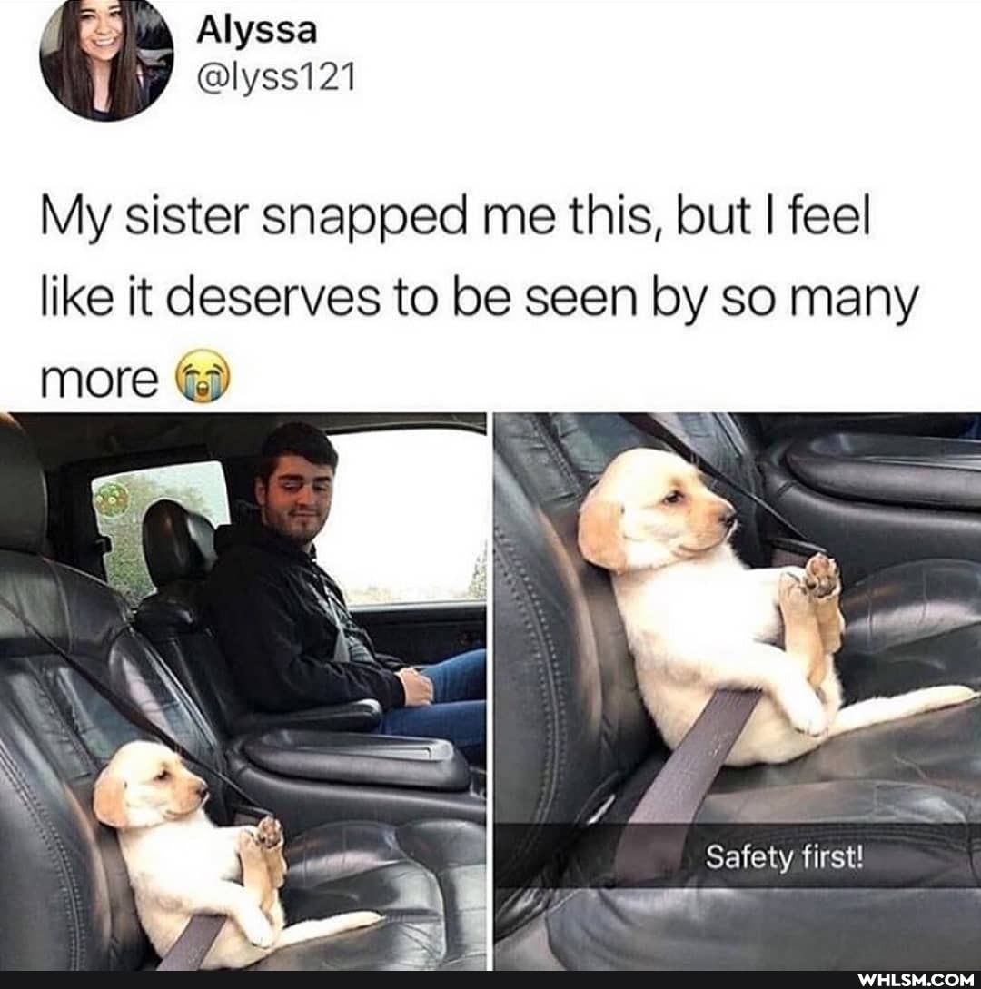 Alyssa
My sister snapped me this, but I feel like it deserves to be seen by so many more
Safety first!