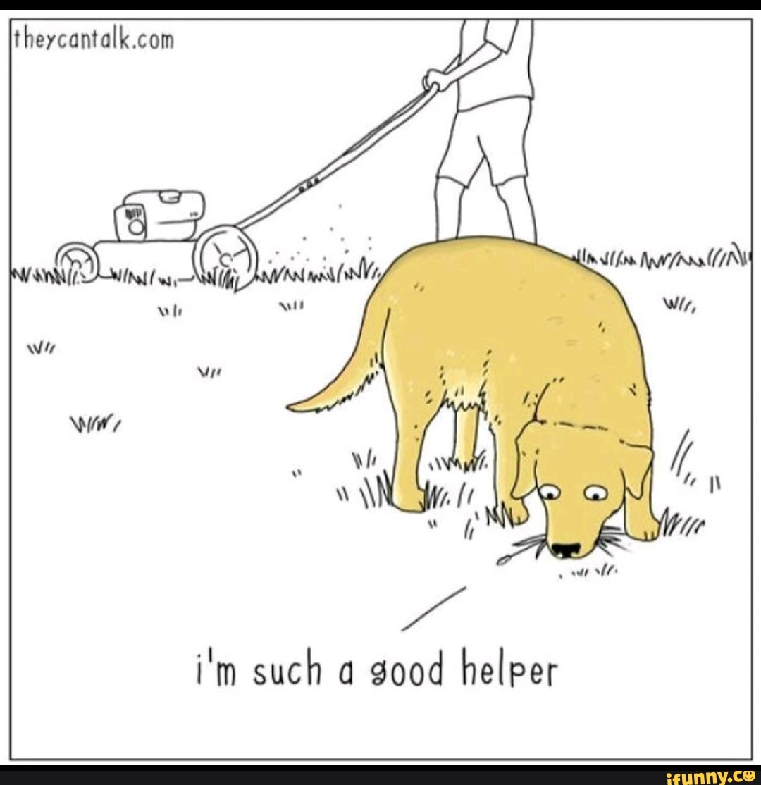 theycantalk.com
i'm such a good helper