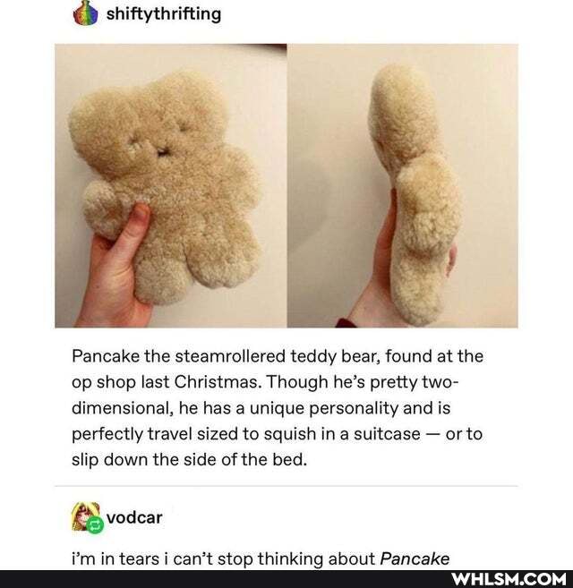 @ shiftythrifting
Pancake the steamrollered teddy bear, found at the op shop last Christmas. Though he's pretty two- dimensional, he has a unique personality and is perfectly travel sized to squish in a suitcase - or to slip down the side of the bed.
B ole