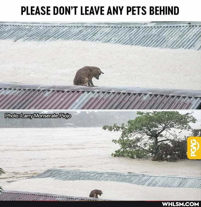 PLEASE DON'T LEAVE ANY PETS BEHIND
_ Ma ME