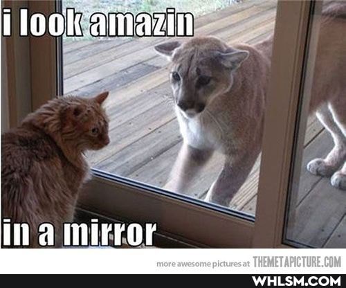 ilookamazin"
ina mirror