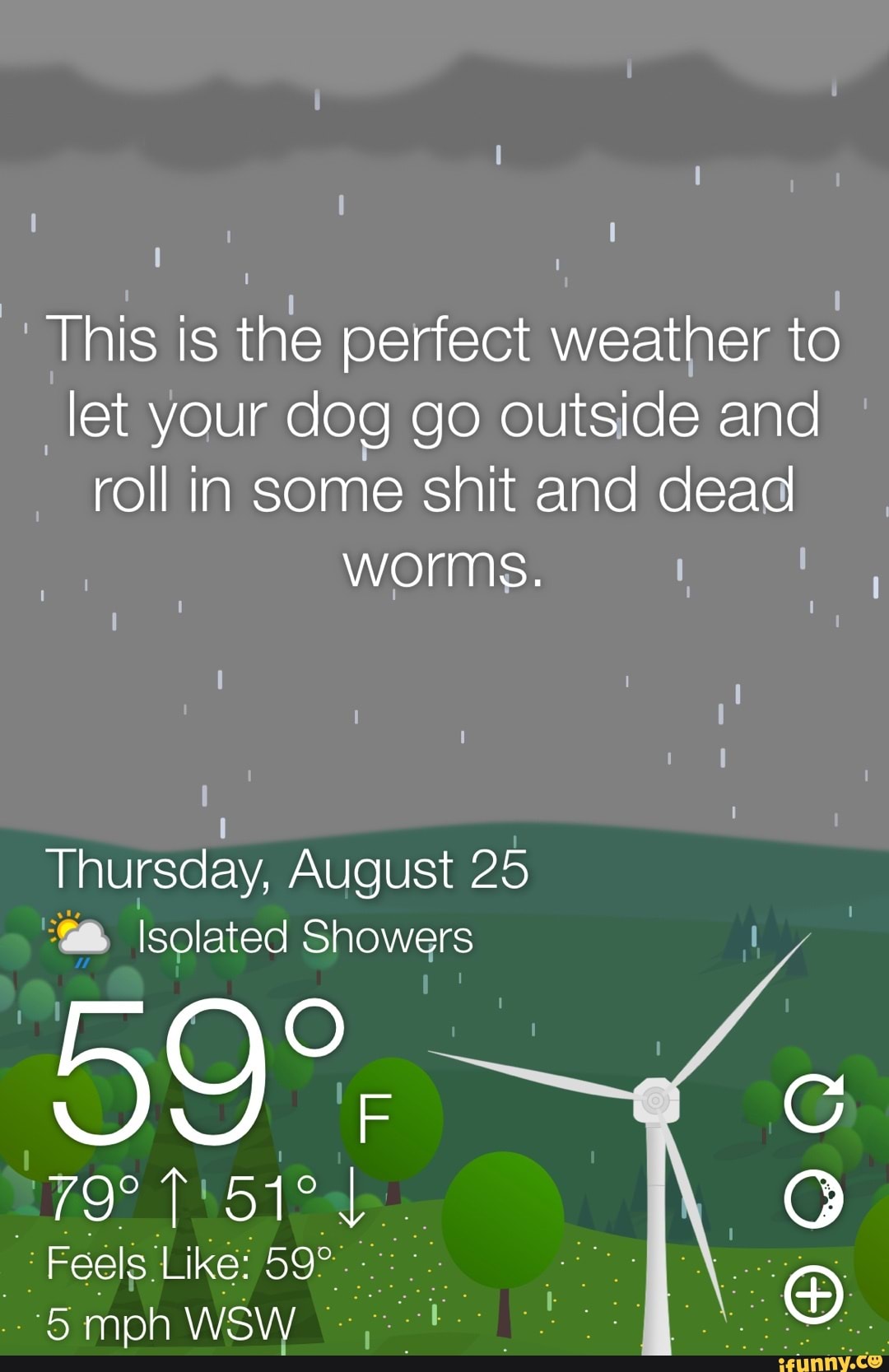 This is the perfect weather to let your dog go outside and roll in some
