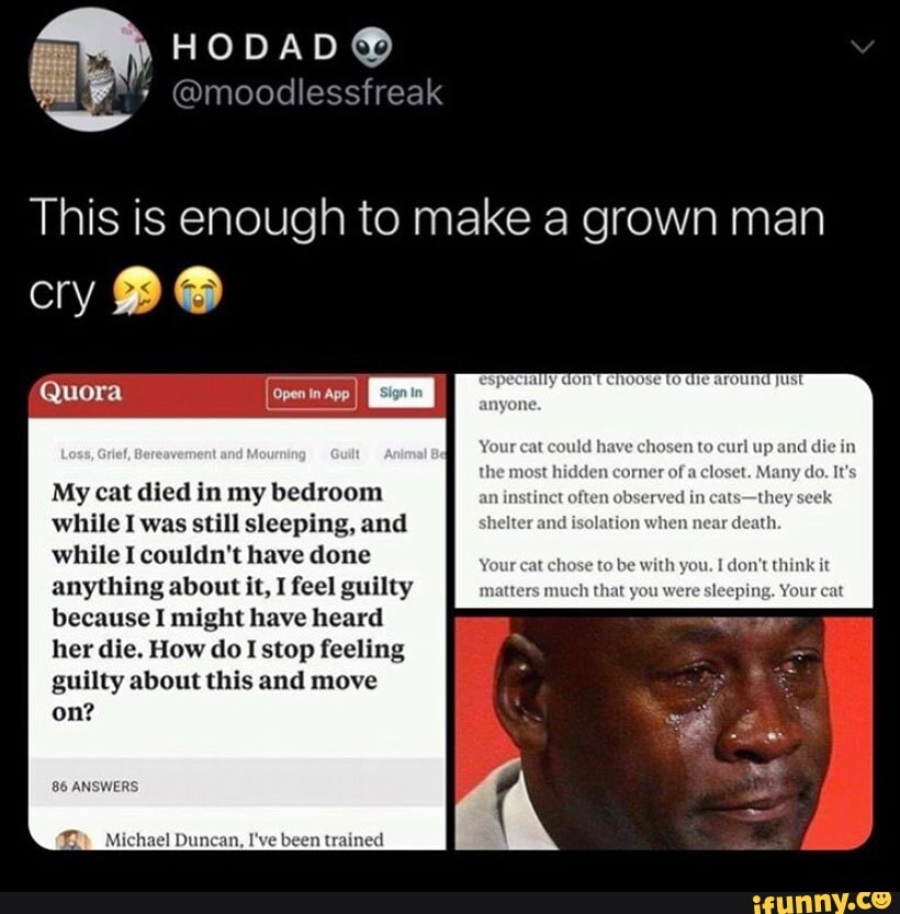 Cry Quora This Is Enough To Make Grown Man Your Cat The Most Hidd Your Chase