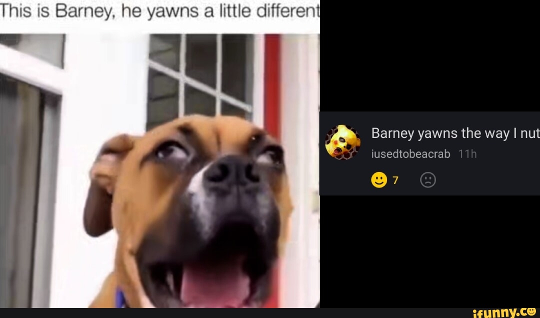 His is Barney, he yawns a little differen Barney yawns the way I nut