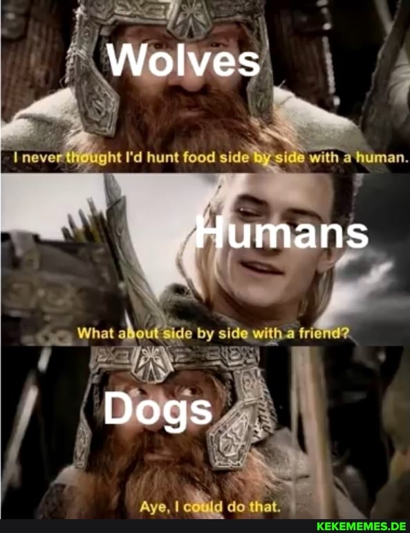 Wolves
never ('d hunt food side With @human,
Humans
What side by side
Dogs
Aye, I that.