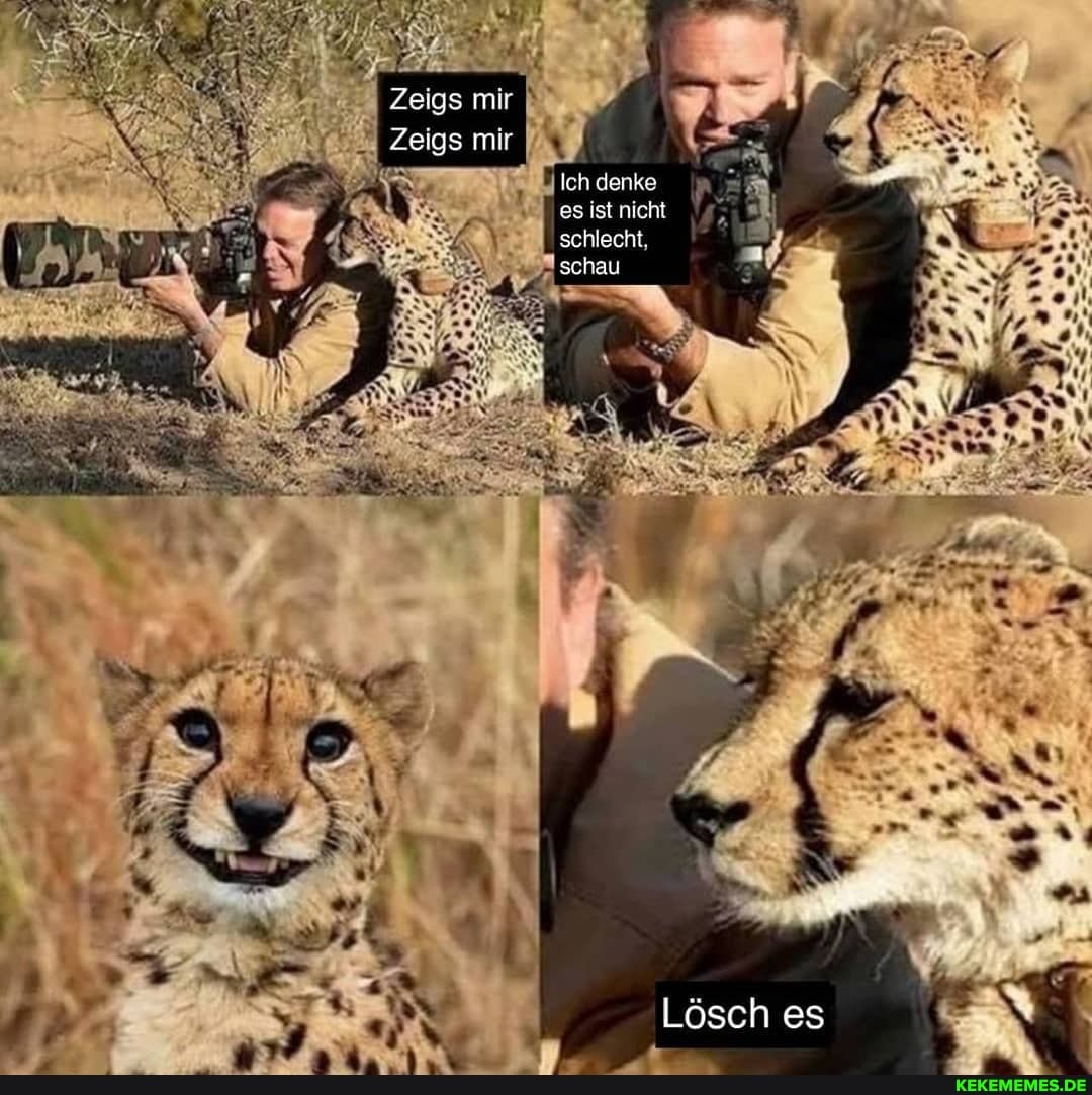 Zeigs mir
Zeigs mir
Ich denke es ist nicht schlecht,
schau
Lösch es