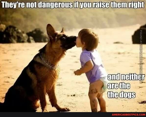 They're not dangerous if you raise them righi
Maite woin } are the
'the dous