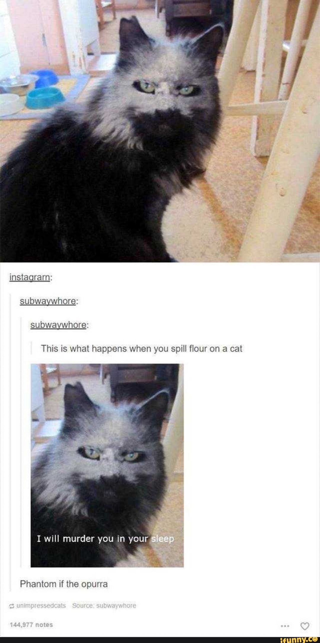 instagram:
subwaywhore:
subwaywhore:
This is what happens when you spill flour on a cat
I will murder you in your eep
Phantom if the opurra