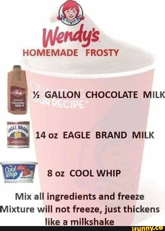 HOMEMADE FROSTY GALLON CHOCOLATE MILK 14 EAGLE BRAND MILK we 8 COOL