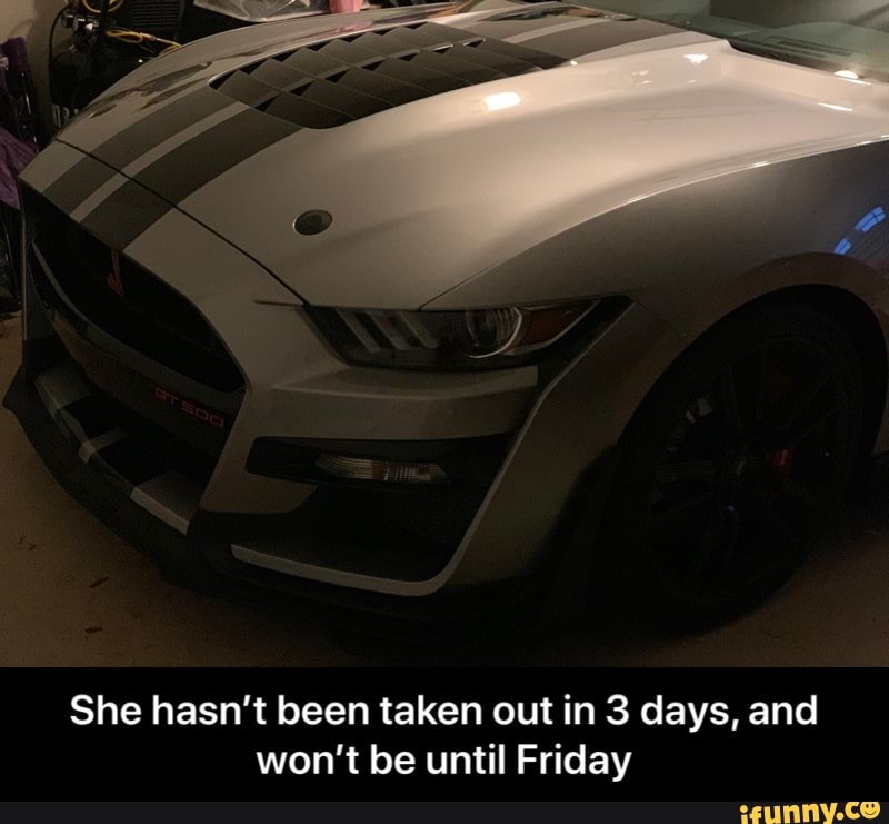 She hasn't been taken out in 3 days, and
won't be until Friday - She hasn’t been taken out in 3 days, and won’t be until Friday