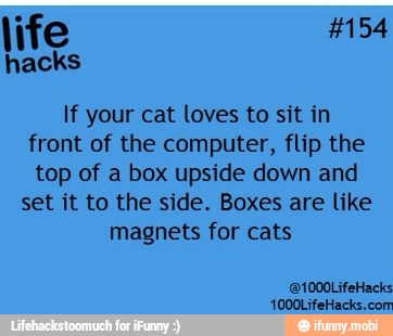 If your cat loves to sit in
front of the computer, flip the
top of a box upside down and
set it to the side. Boxes are like
magnets for cats
1000LifeHacks.com