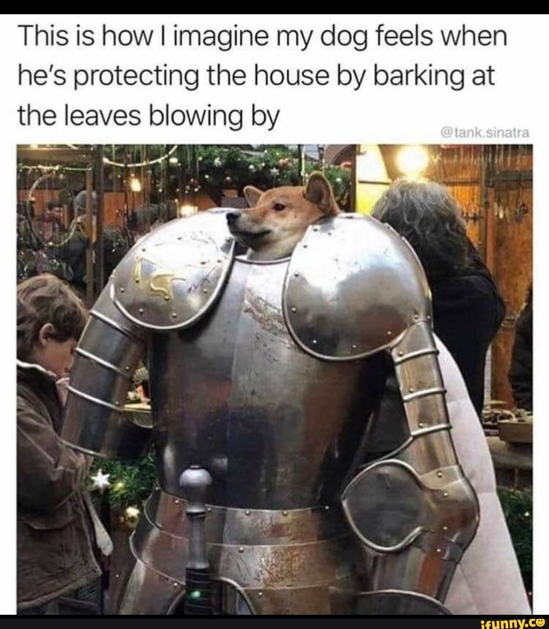 This is how I imagine my dog feels when he's protecting the house by barking at the leaves blowing by