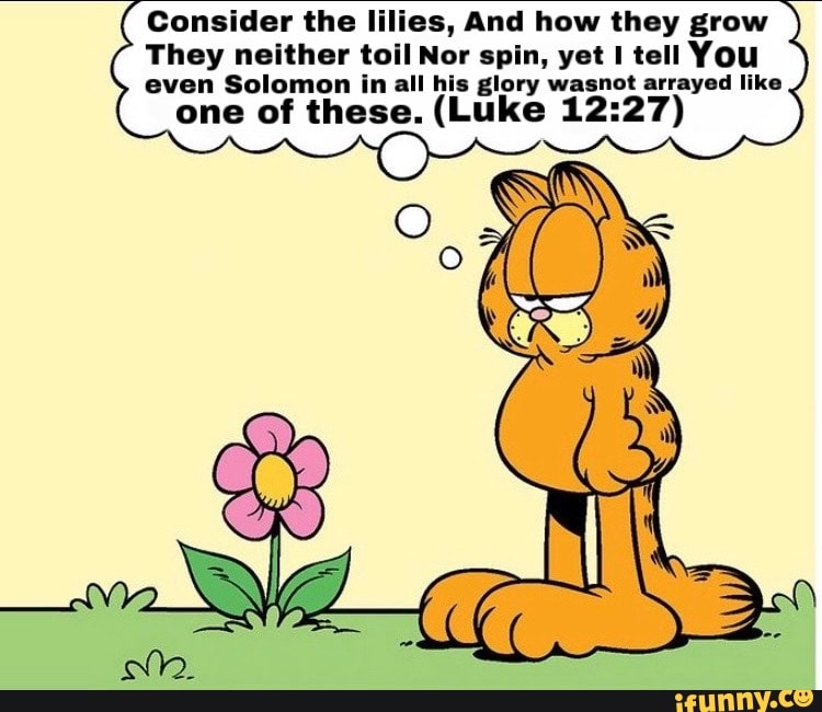 Consider the lilies, And how they grow They neither toil Nor spin, yet