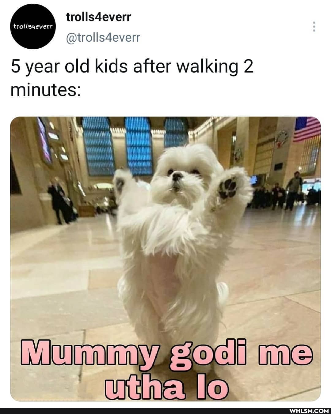 trolils4everr
@trolls4everr
5 year old kids after walking 2 minutes: