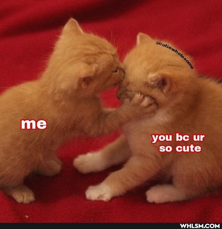 you be ur
so cute
