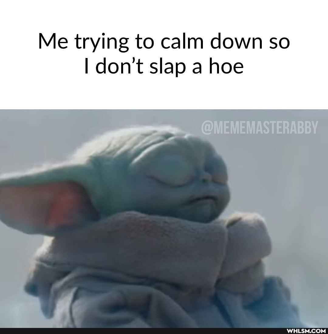 Me trying to calm down so
I don't slap a hoe
@MEMEMASTERABBY
di